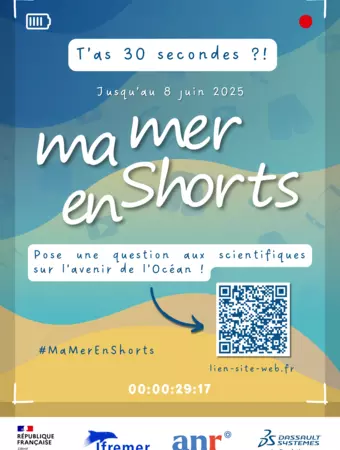 Ma Mer en shorts - Règlement