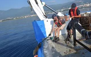 Récupération d'une station artificielle de moules à bord du navire océanographique Téthys II