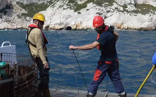 Installation de poches de moules “sentinelles” près d’une zone de rejets d’eaux usées