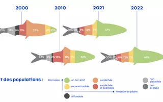 Evolution de l’état des populations de poissons exploitées en France hexagonale entre 2000 et 2022.