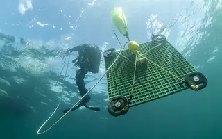 plongeurs récupérant une structure hébergeant un instrument destiné à mesurer les niveaux marins extrêmes