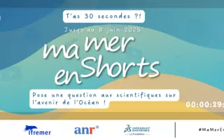 Ma Mer En Shorts - Visuel