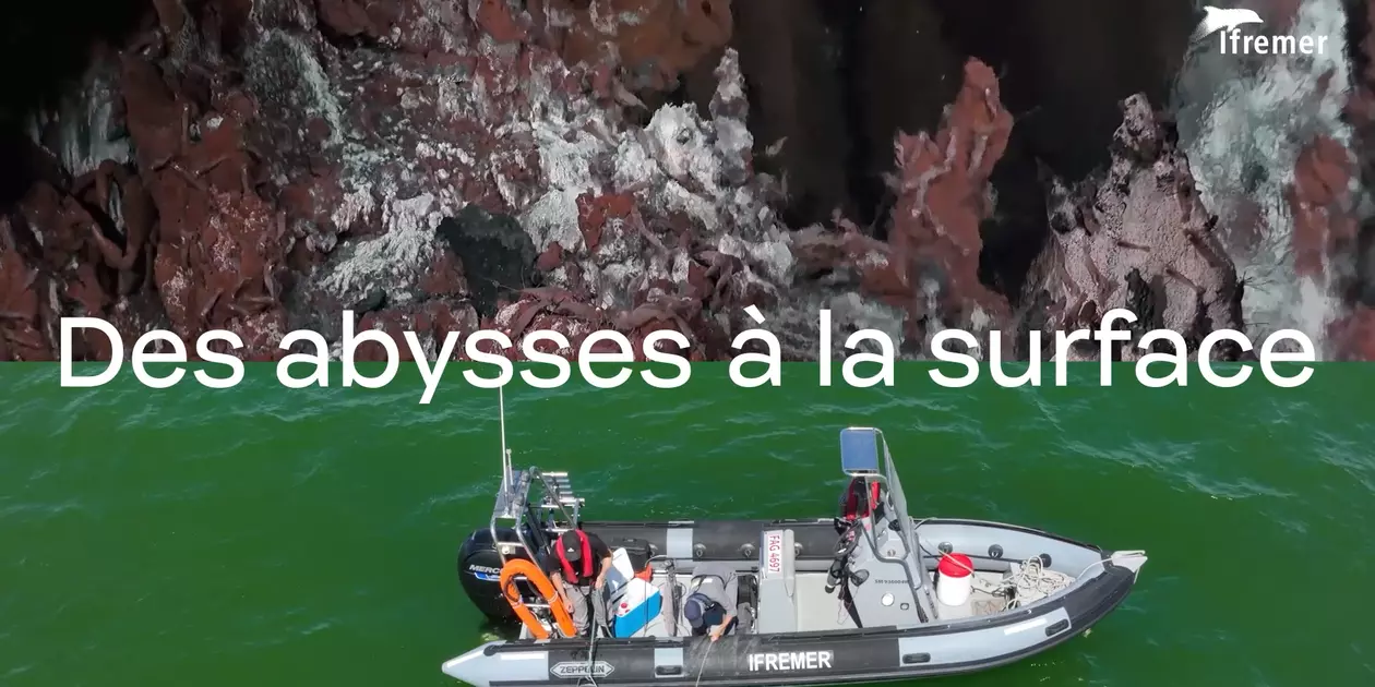 L'Ifremer, des abysses à la surface, de la côte au large