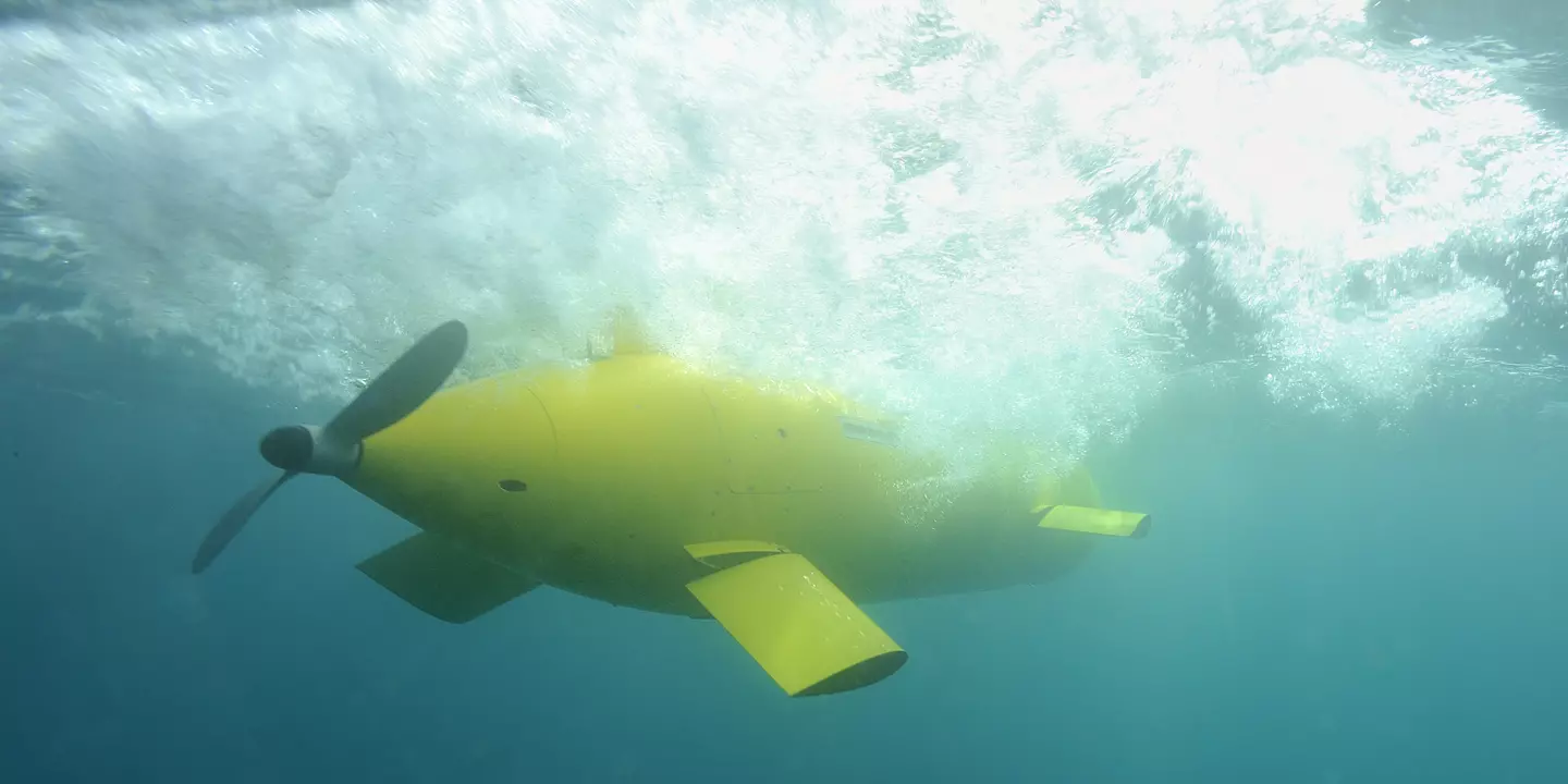 AUV AsterX en surface au cours de la mission ESSAUV 2010.