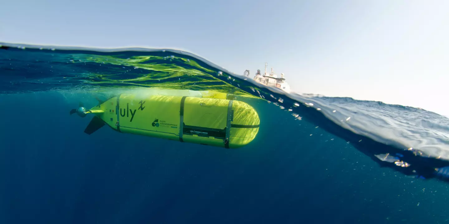 Vue sous-marine d'Ulyx au cours de la campagne Essulyx22.