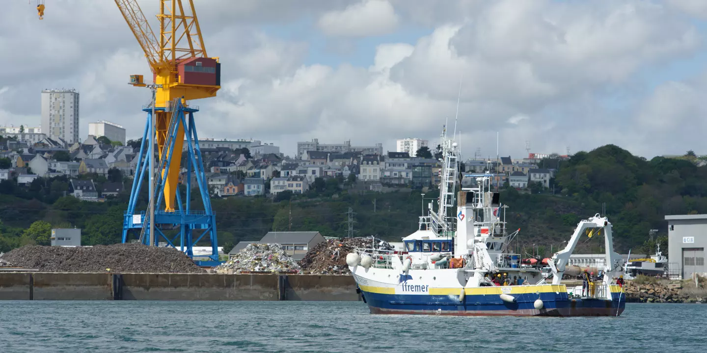 Le navire Thalia dans le zone du polder du port de Brest