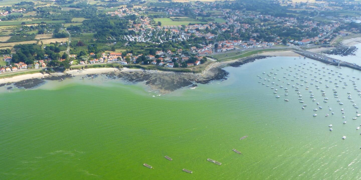 Eau colorée verte en Loire-Atlantique