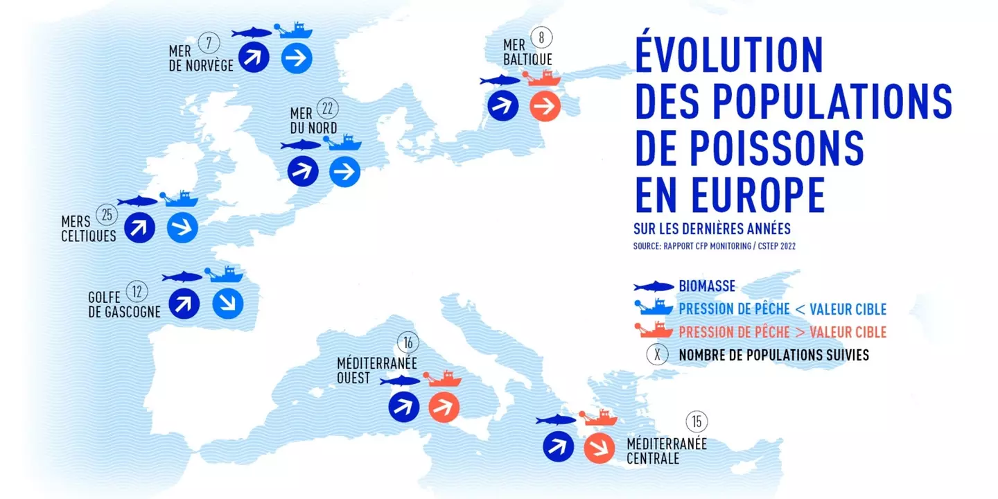 Évolution des populations de poissons en Europe sur les dernières années