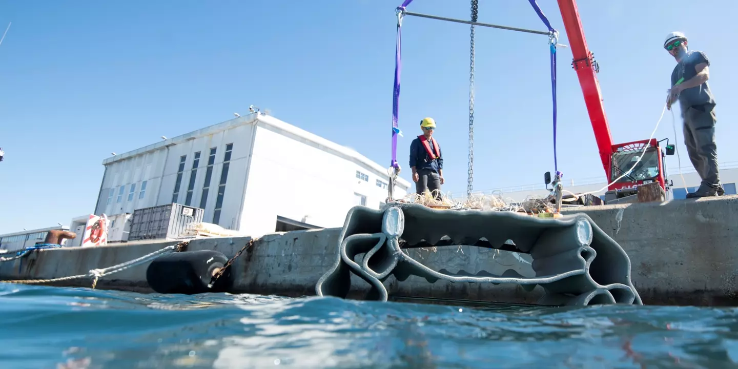 Mise à l’eau des blocs 3D en béton le long du quai scientifique de l’Ifremer