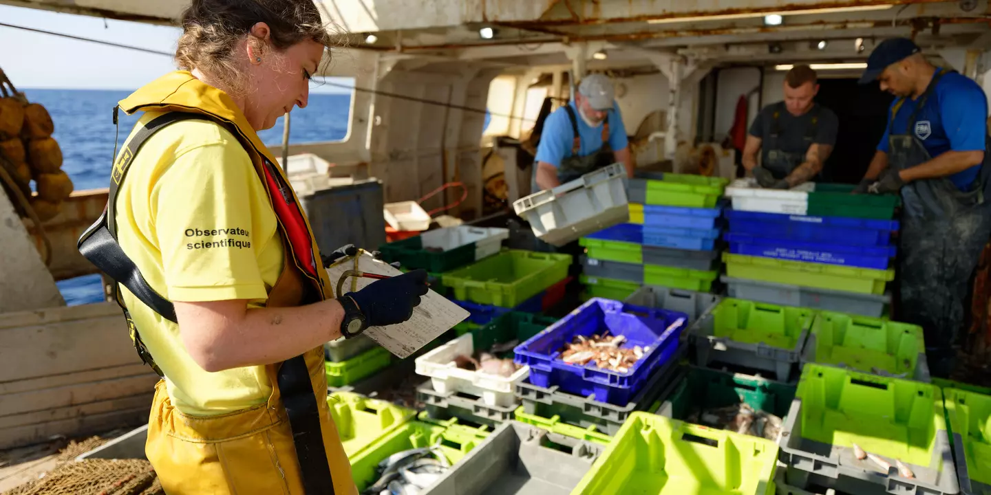 Plusieurs personnes autour de nombreuses caisses de pêche empilées