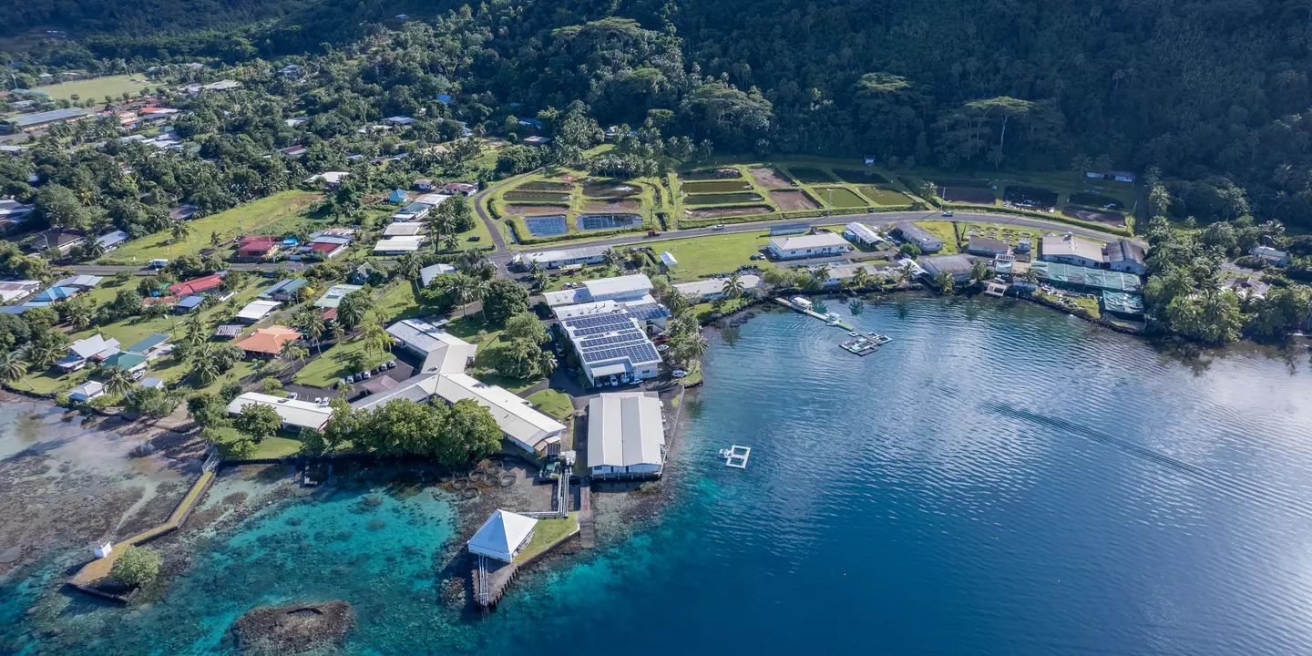 Vue aérienne de la plateforme située en bord de mer