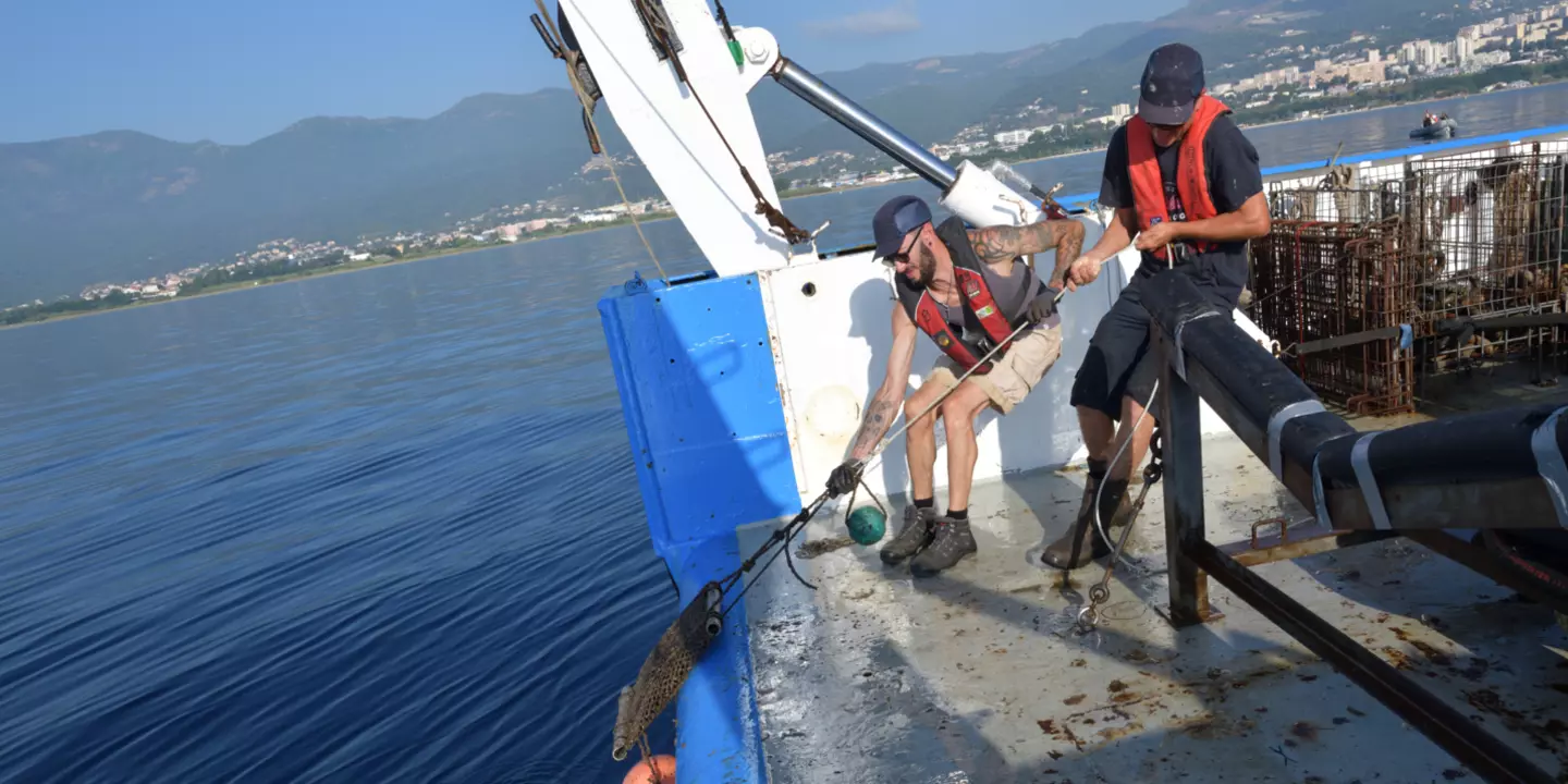 Récupération d'une station artificielle de moules à bord du navire océanographique Téthys II