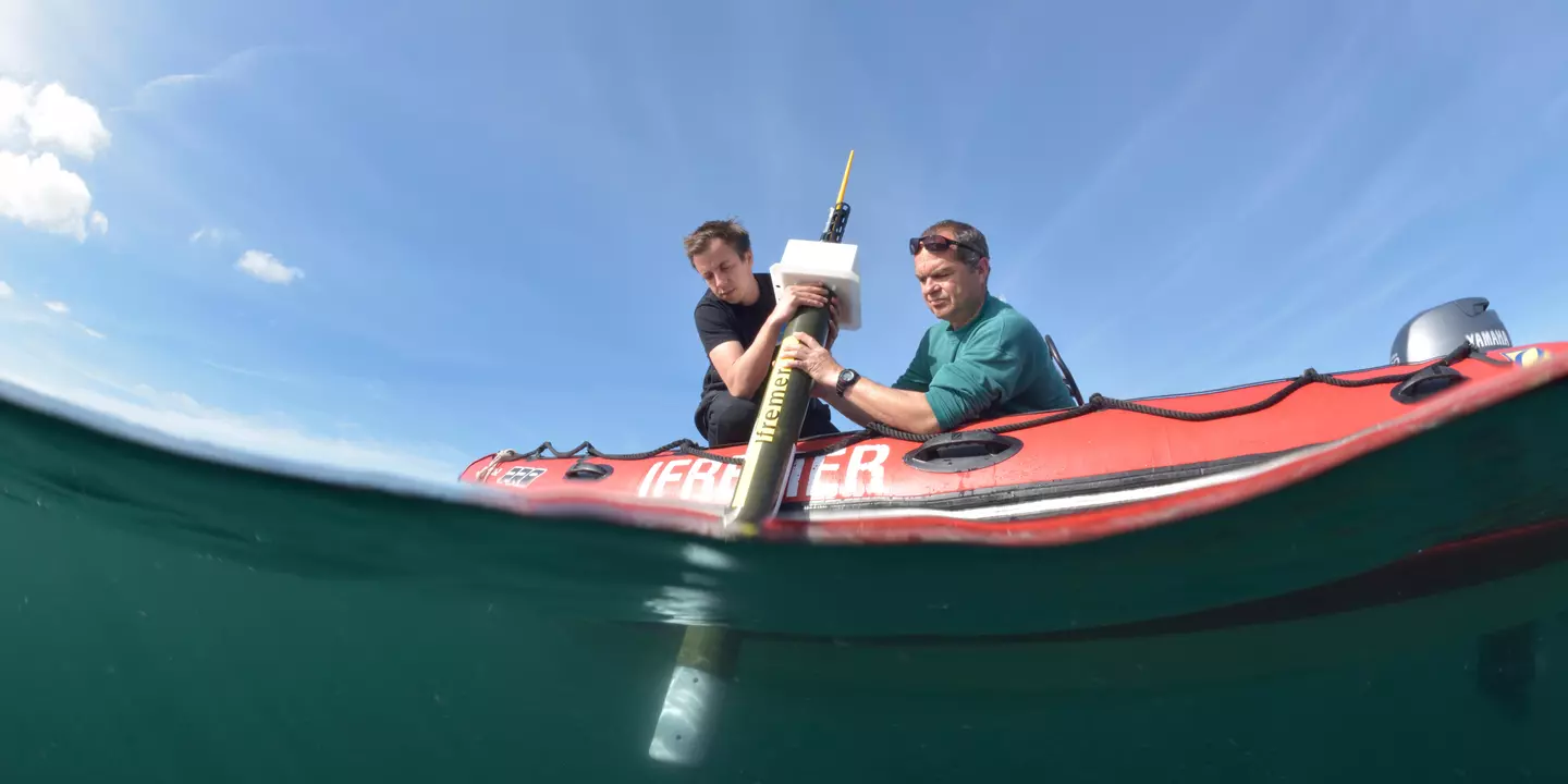 Déploiement d'un profileur Arvor depuis un zodiac, vue au ras de l'eau.