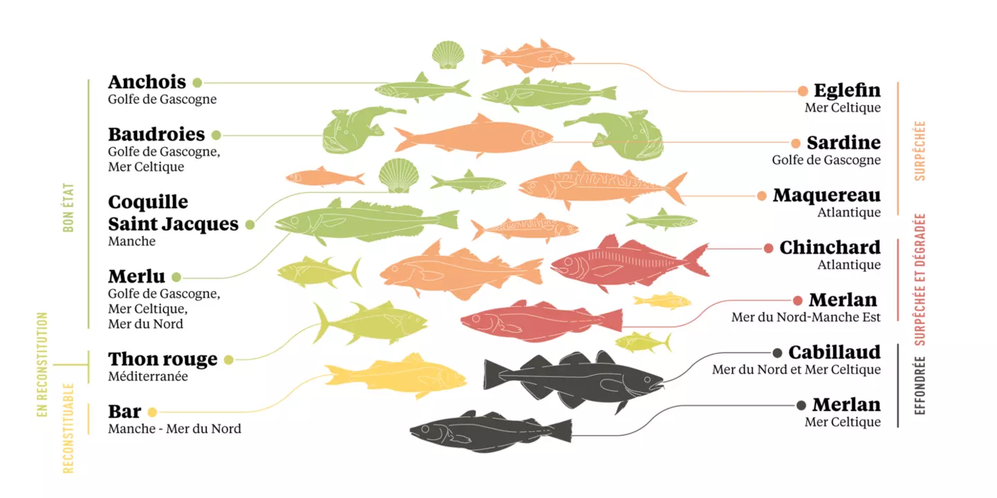 Exemples de populations classées selon leur état écologique