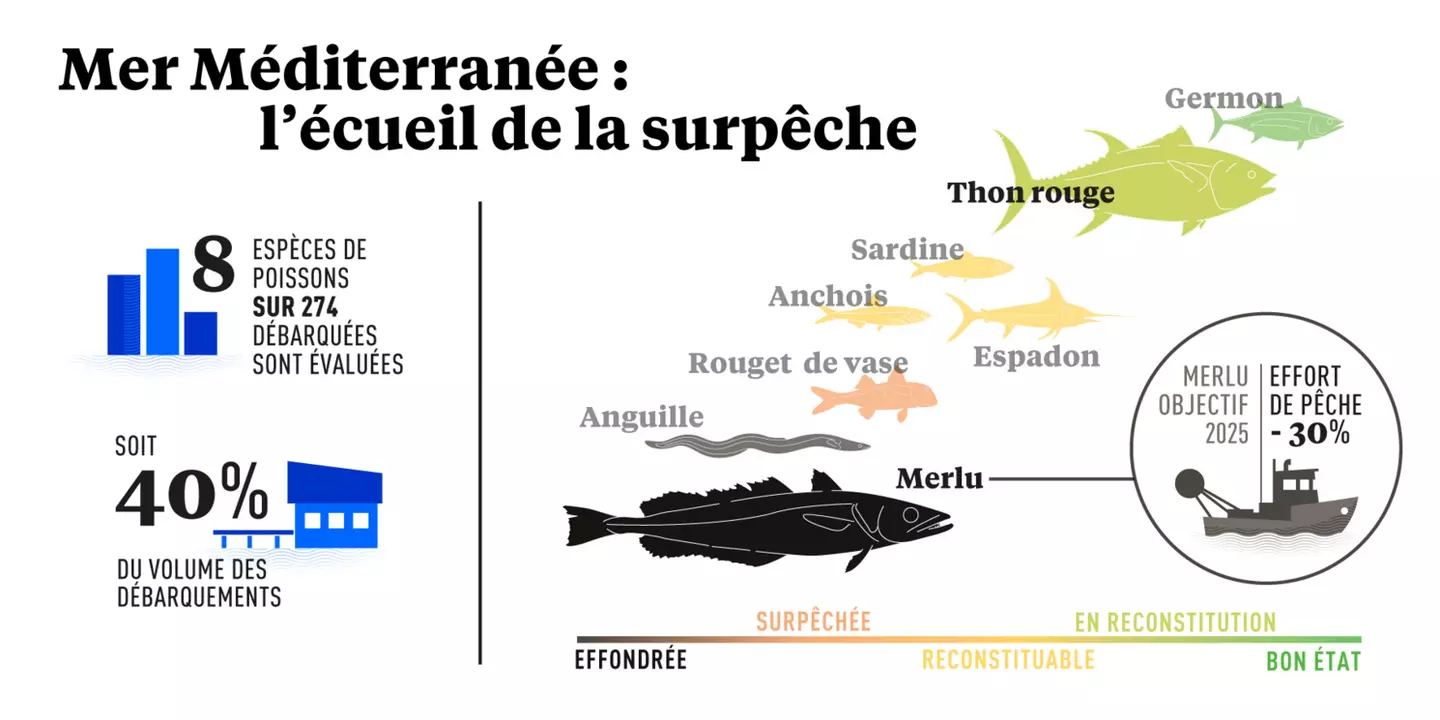 L'écueil de la surpêche en Méditerranée