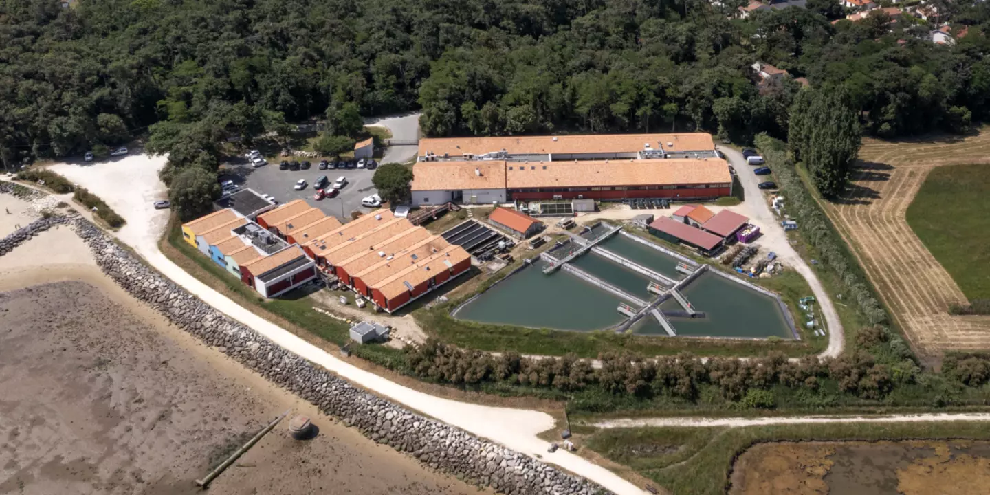 Vue aérienne de la station Ifremer de La Tremblade