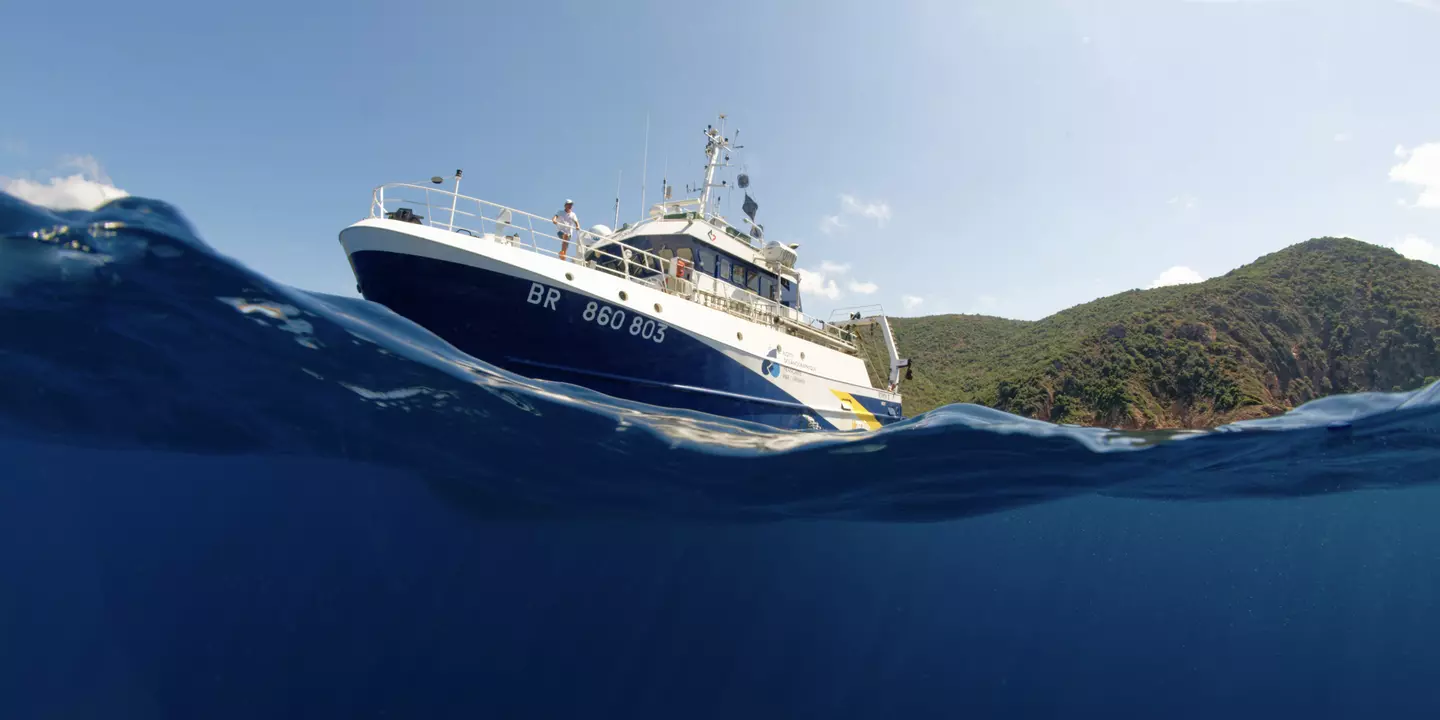 Prise de vue au ras de l'eau du bateau avec en fond une côte.