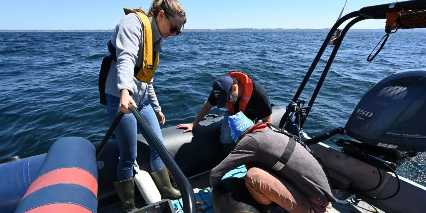 Déploiement d’un récepteur acoustique en mer d’Iroise. Si vous trouvez un récepteur en mer ou échoué sur la côte, l’Ifremer vous invite à le ramener dans l’un de ses centres