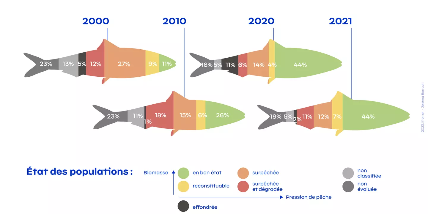 Infographie représentant l'évolution de l’état des populations de poissons exploitées en France hexagonale entre 2000 et 2021