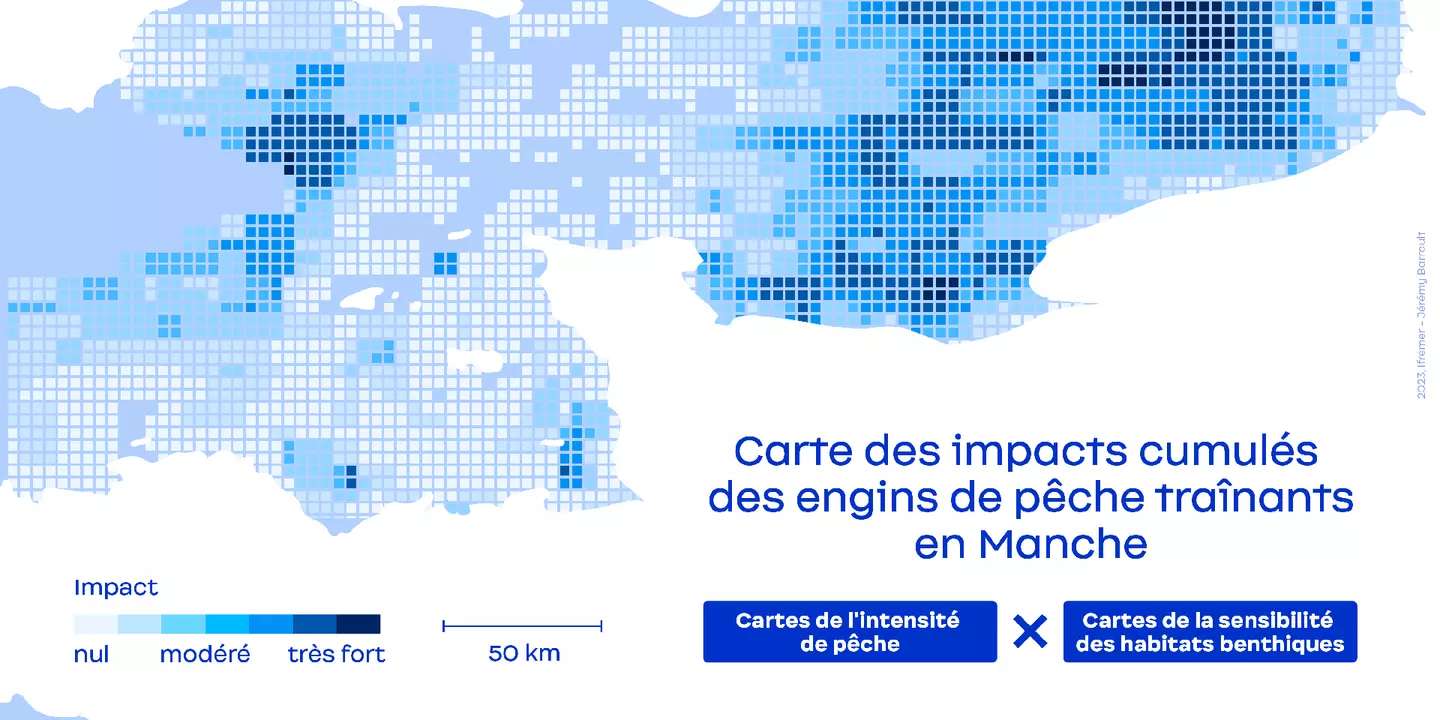 Carte des impacts cumulés des engins de pêche traînants en Manche