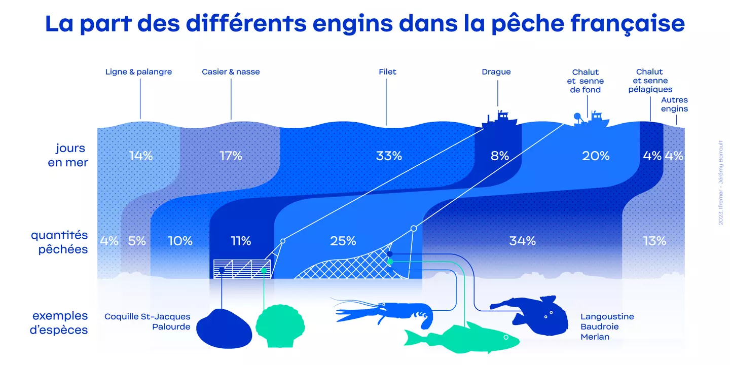 Infographie : En 2021, la pêche avec des arts traînants de fond a représenté 36 % du volume et 47 % de la valeur totale de la production française.