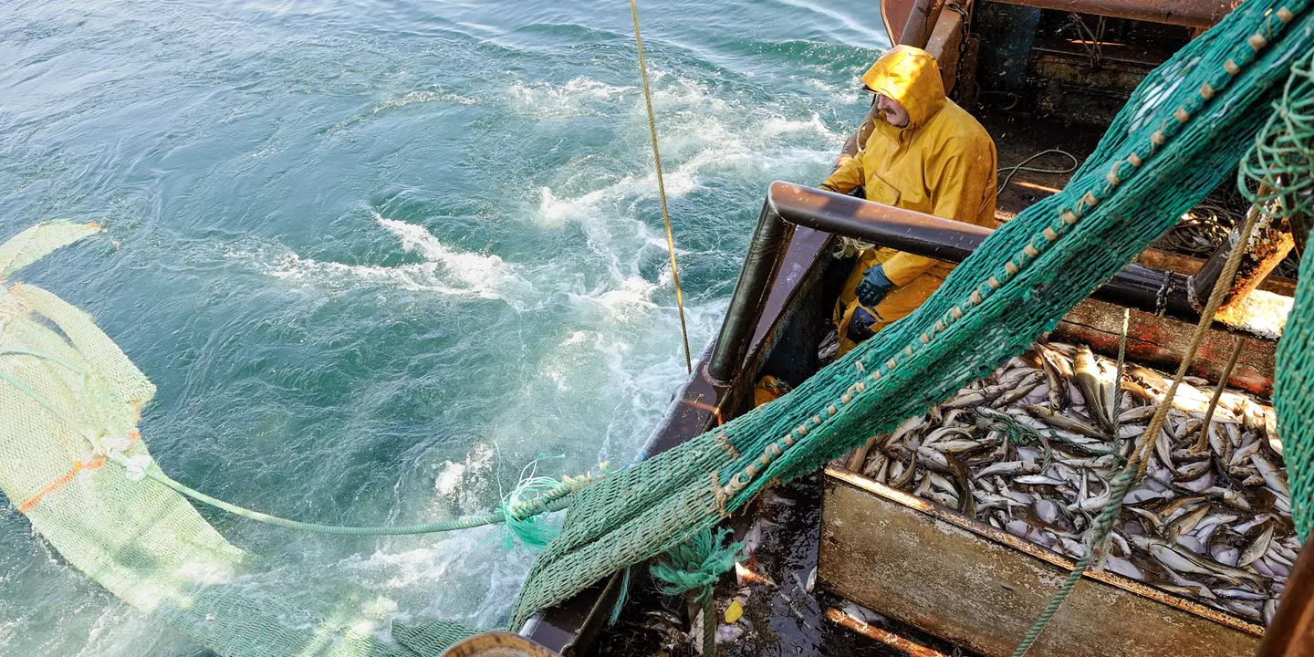 Pêche au chalut de fond à bord d'un bateau de pêche professionnelle