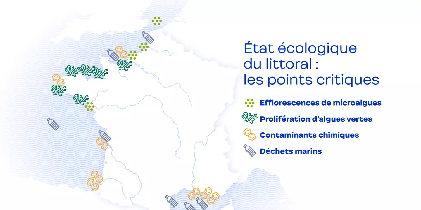 Carte "Etat écologique du littoral : les points critiques"