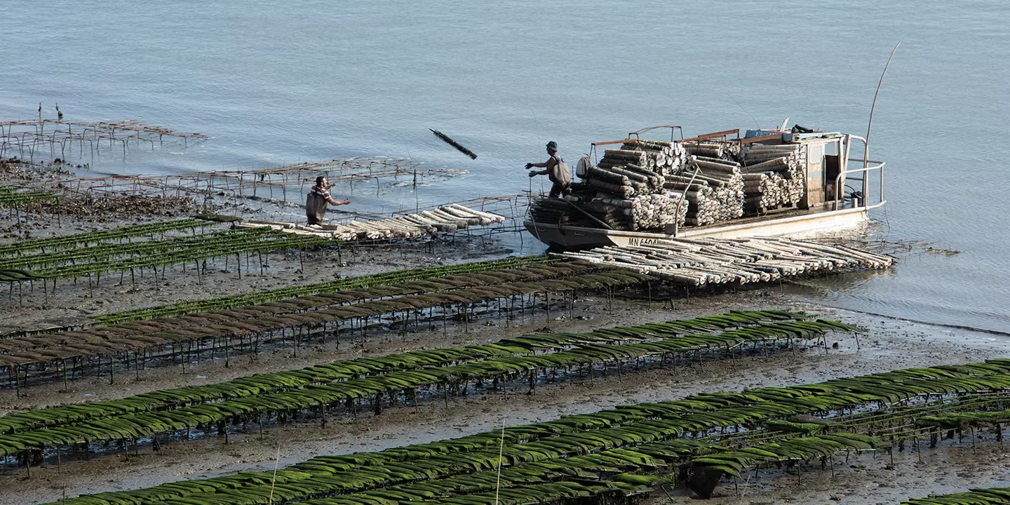 Vue sur un site ostréicole en Charente-Maritime non loin de la Tremblade