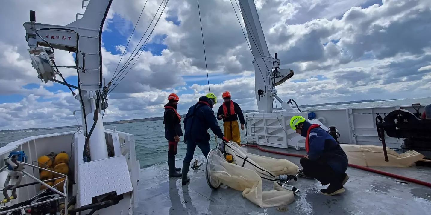 À bord du Côtes de la Manche, les scientifiques ont pu effectuer à la fois des mesures en continu et des échantillonnages ponctuels de plancton dans toute la zone du Parc marin.