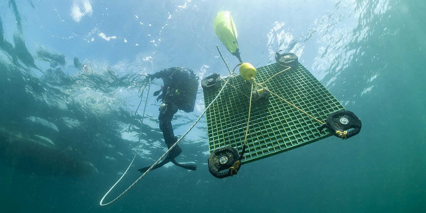 plongeurs récupérant une structure hébergeant un instrument destiné à mesurer les niveaux marins extrêmes