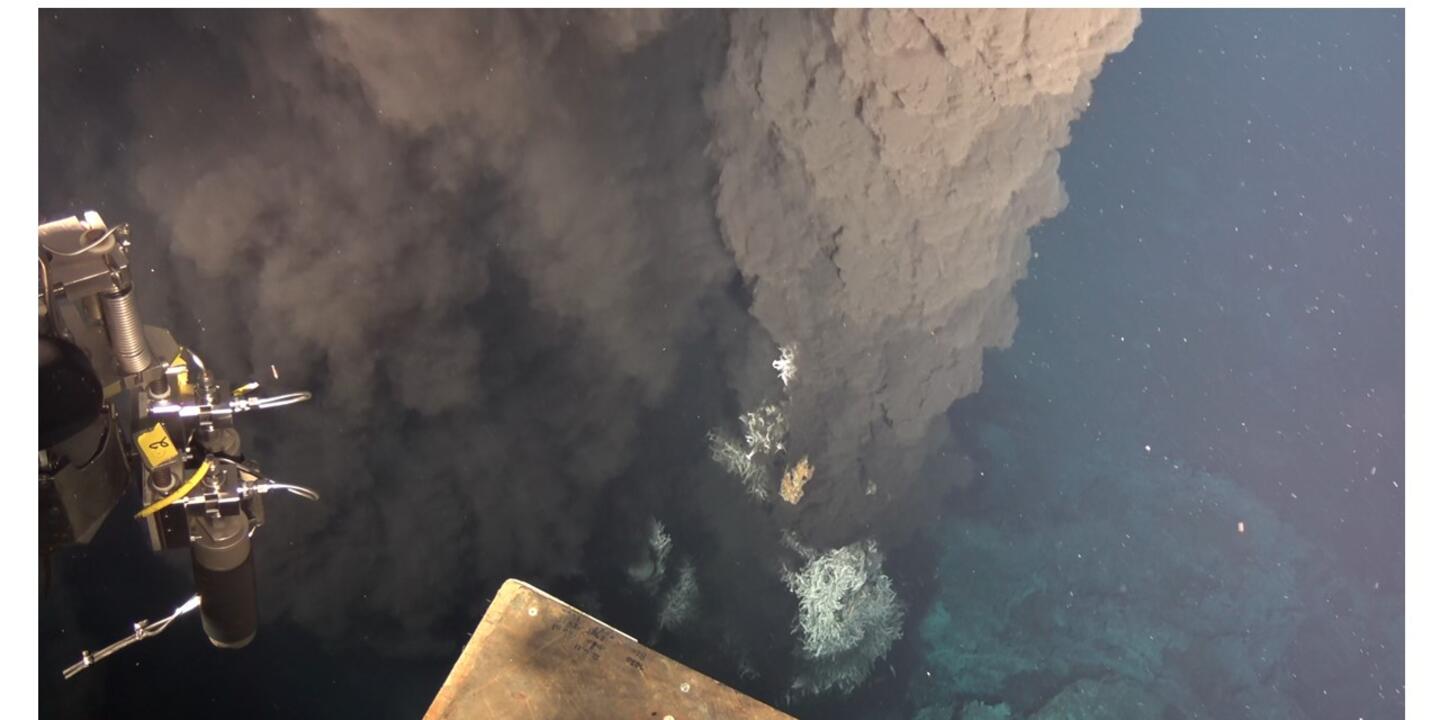 Fumeur, source hydrothermale. 
