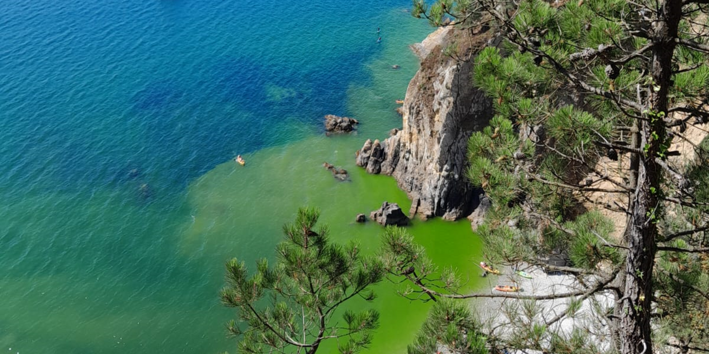 Une efflorescence de phytoplancton sur la côte de la presqu’île de Crozon donne ici  à l’eau des teintes vertes. 