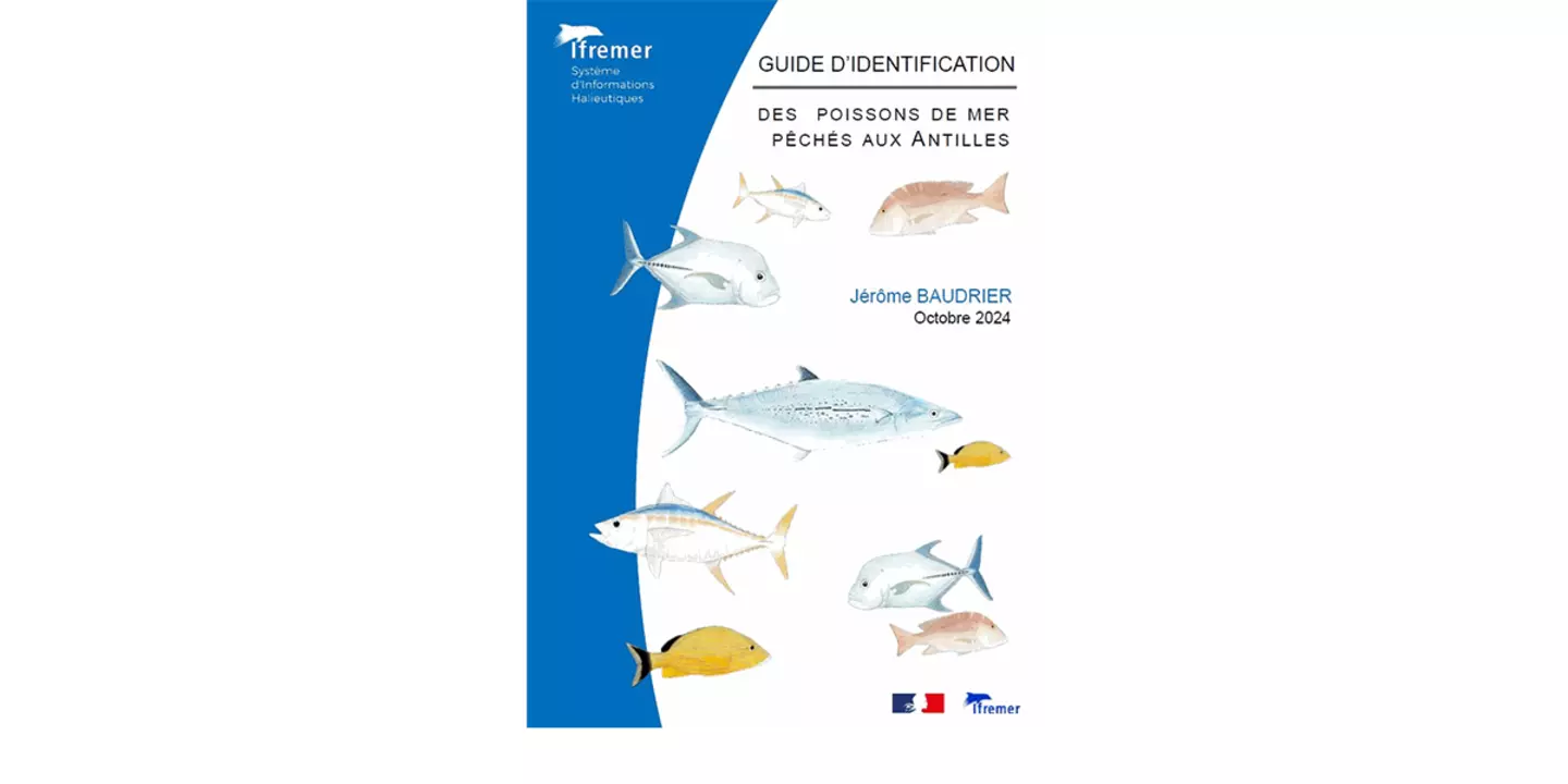 Guide d'identification des poissons de mer pêchés aux Antilles