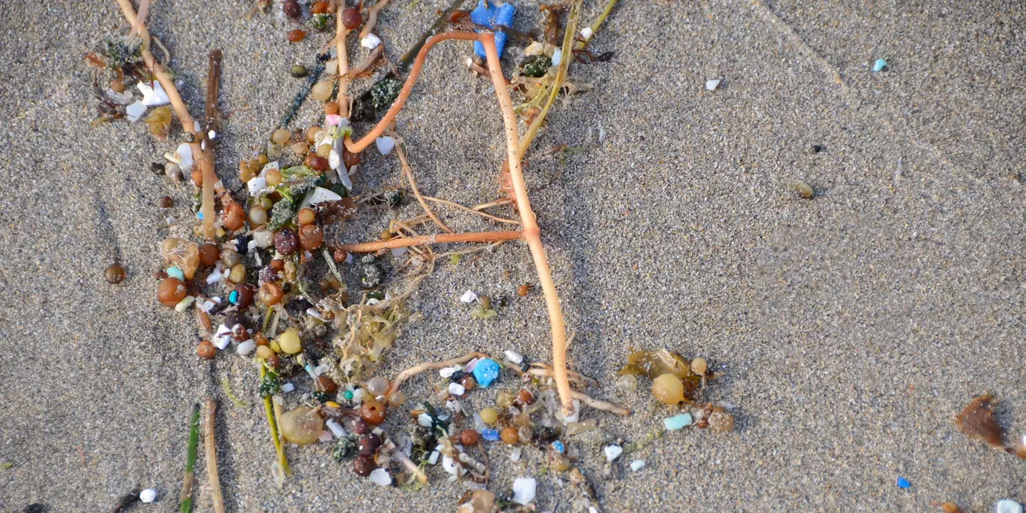 Microplastiques sur la plage de Famara aux Canaries