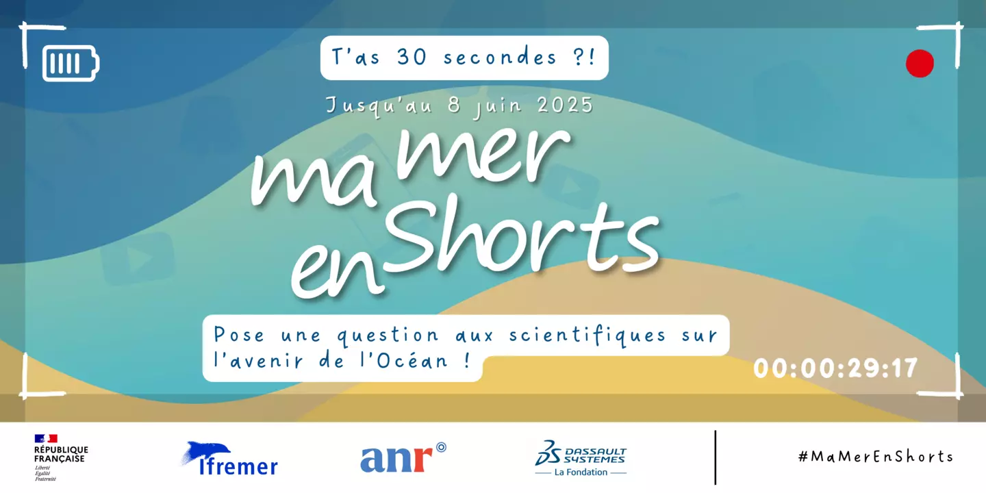 Ma Mer En Shorts - Visuel