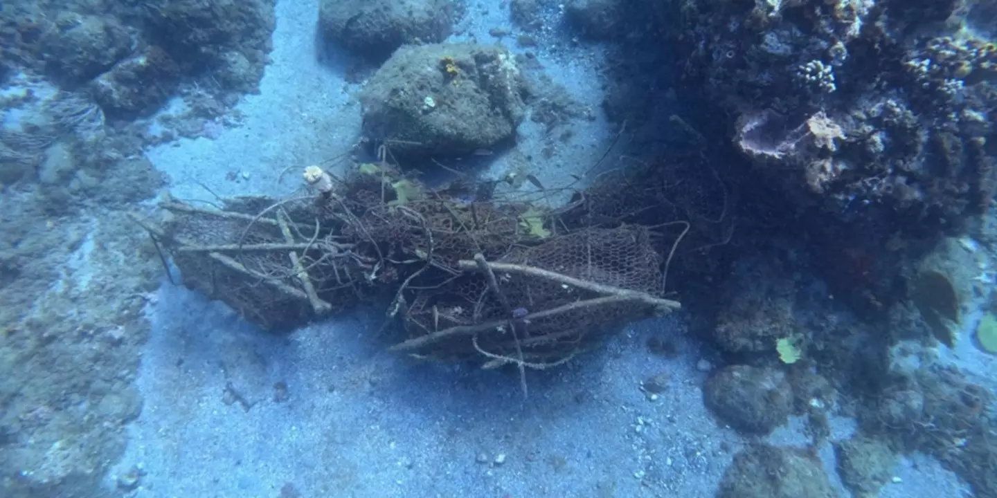 Débris de nasse à poisson perdus en mer 