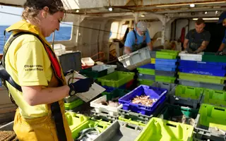 Plusieurs personnes autour de nombreuses caisses de pêche empilées