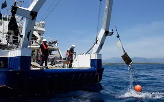 Campagne SuchiMed : après avoir passé deux mois et demi en mer, les 250 poches de moules disséminées dans les eaux côtières de Méditerranée sont récupérées à bord