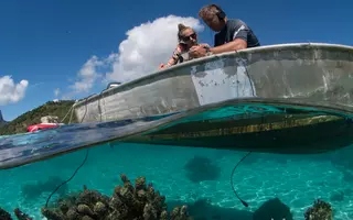 Relevé des signatures sonores d’un récif corallien, lagon de Moorea.