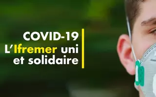 Covid-19 - L'Ifremer uni et solidaire