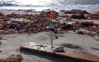 Photo d’un flotteur de pêche, l’une des 25 photos présentées à l’exposition « Les engins de pêche perdus » présentée au Marinarium de Concarneau