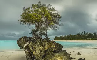 Récif corallien fossile sur une plage des Glorieuses