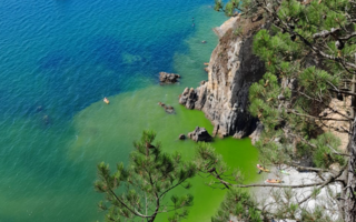 Une efflorescence de phytoplancton sur la côte de la presqu’île de Crozon donne ici  à l’eau des teintes vertes. 