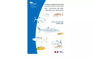 Guide d'identification des poissons de mer pêchés aux Antilles