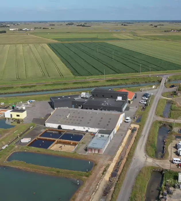 Vue aérienne de la plateforme de Bouin