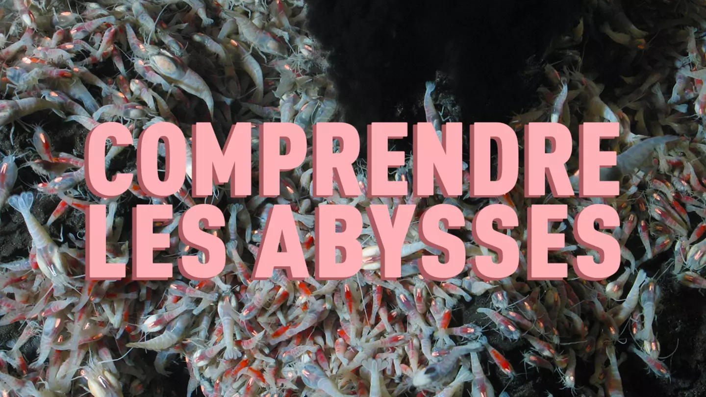 Comprendre les abysses