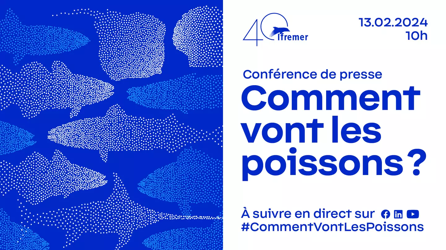 Affiche : Comment vont les poissons 2024