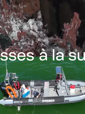 L'Ifremer, des abysses à la surface, de la côte au large