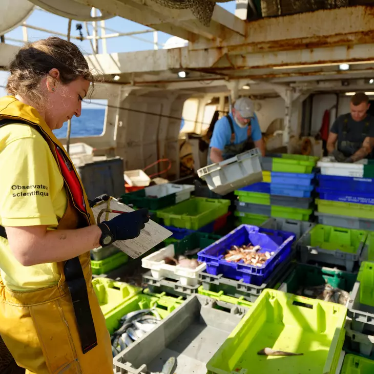 Plusieurs personnes autour de nombreuses caisses de pêche empilées