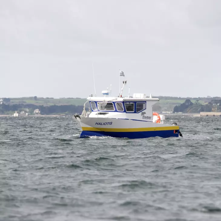 Bateau en rade de Brest avec la côte derrière lui.